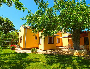 Vakantiehuis House 1037