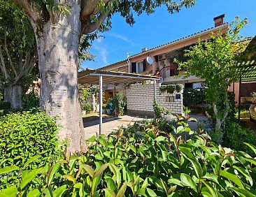 Appartement Apartment 1387