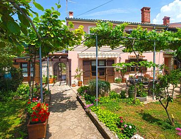 Appartement Apartment 64