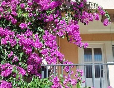 Appartement mit privater Terrasse