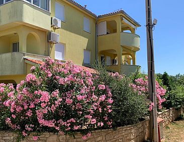 Appartement Große Ferienwohnung in Ližnjan mit Offenem Kam