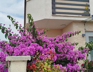 Appartement Apartment Smokvica