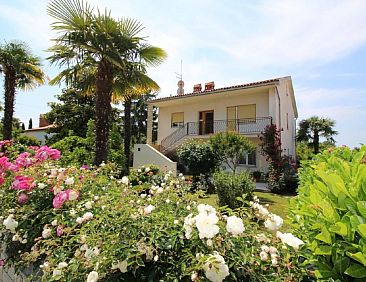Appartement Tino mit Garten in Strandnähe