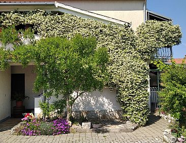 Appartement Apartment Sasa B4 / HR-11069-01