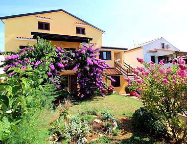 Appartement Tancel A3