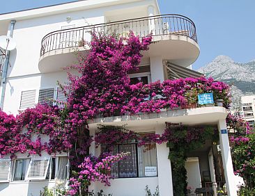 Appartement mit Blick auf das Wasser