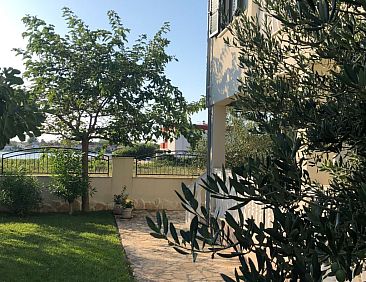 Vakantiehuis Villa Olive Grove
