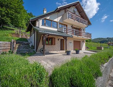 Vakantiehuis Lady Lavender