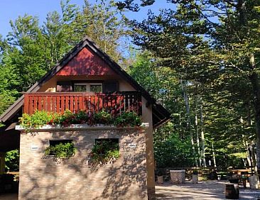 Vakantiehuis Idyllic holiday home
