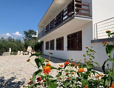 Appartement Wohnung Volaric