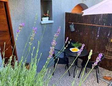 Appartement Studio Savic