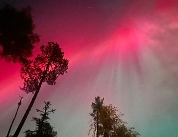 Vakantiehuis in Vrådal (gemeente Kviteseid)