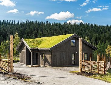 Vrijstaande woning in Nesbyen