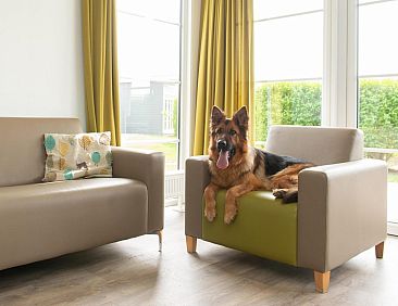 Comfort Lodge | 6 p. (50 m2) - Honden toegelaten - Met airco
