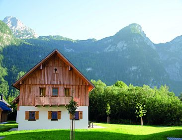 Luxery Salzkammergut Studio Comfort F