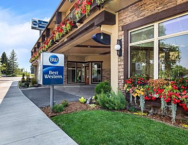 Best Western Driftwood Inn