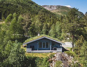 Jølsterlia Hyttetun