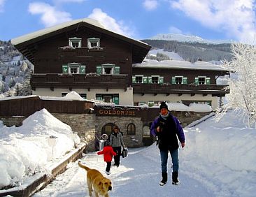 Appartements die Goldgrube