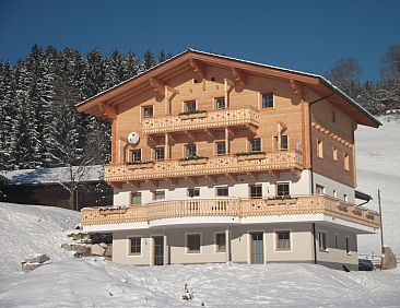 Appartement Sonnblick in Hollersbach im Pinzgau