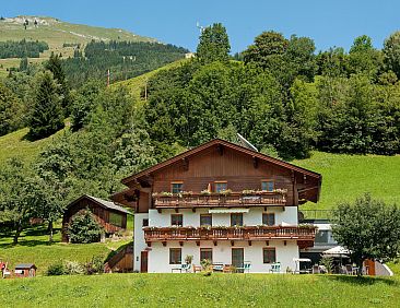Appartement Hartlbauer in Dorfgastein
