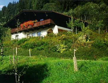 Appartement Hans Ebner in Eben im Pongau
