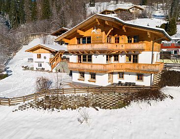 Alpensteinbock Saalbach L