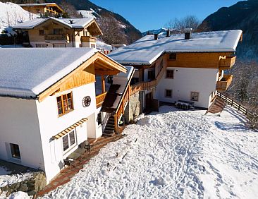 Alpensteinbock Saalbach B