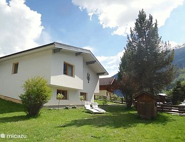 Zwei Tannen
