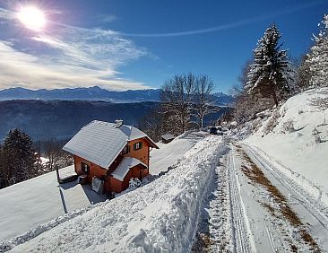Vakantiehuis Almchalet Orter in Treffen am Ossiacher See
