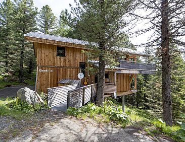 Vakantiehuis #42 mit Sauna und Sprudelbad innen