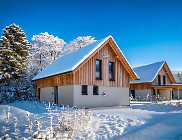 Mountain Chalet Dahoam