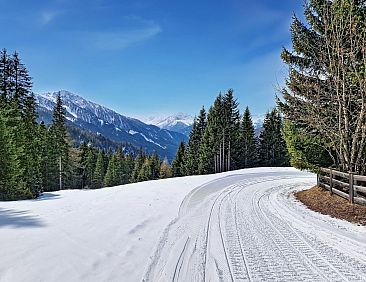 Appartement Naviser Hütte