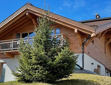 Appartement Luxus Chalet Poolblick - mit eigener Sauna