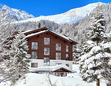 Appartement Bohemia 3 in Sankt Gallenkirch