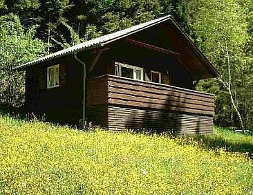 Vakantiehuis Arthurhütte in Hohenweiler