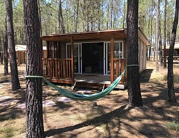 Bungalow Family Premium