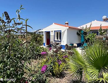 Sun, sea, nature in cosy house