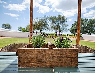 Vakantiehuis Ferienvilla mit Garten, Grill und Terrasse