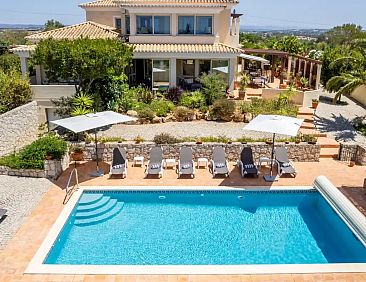 Casa Arvore