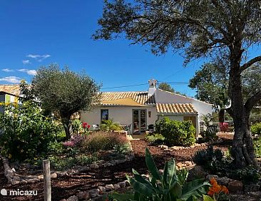 Casa Frango