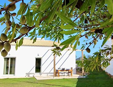 Casa Amendoeira