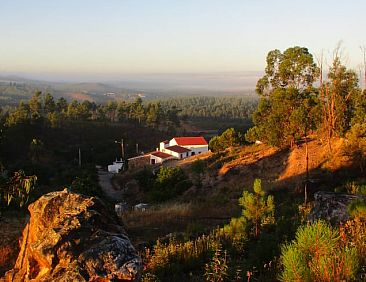Vakantiehuis in Envendos