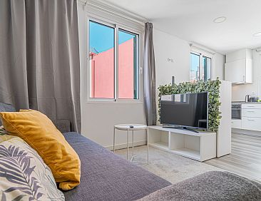 Appartement Tanoeiros Wohnung