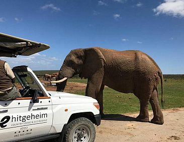 Hitgeheim Country Lodge