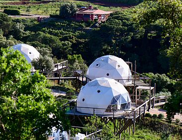 Couple Domes
