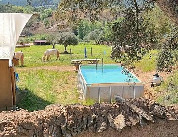 Glamping Lodge Cortiça