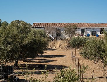 Vrijstaande woning in Mértola