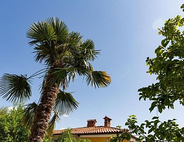 Appartement Wohnung in Lucija mit Garten