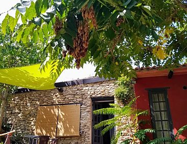 La Molina Eco-Holiday: Casita Verde