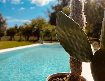 Finca W - W studio